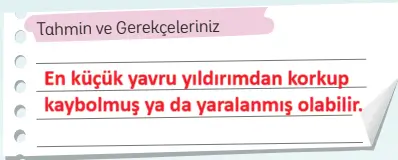 5. Sınıf Türkçe Ders Kitabı Sayfa 20 Cevapları 5. Sınıf Türkçe Ders Kitabı Sayfa 20 Cevapları