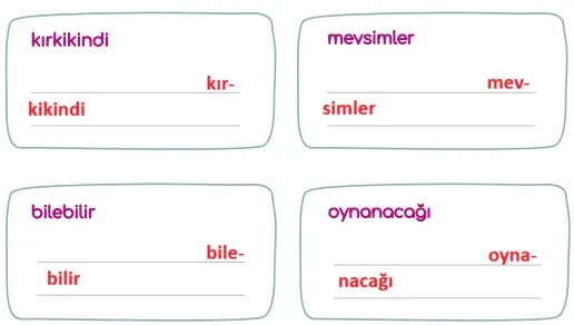 5. Sınıf Türkçe Ders Kitabı Sayfa 41 Cevapları