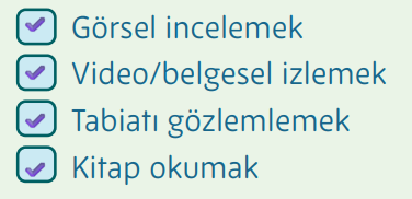 5. Sınıf Din Kültürü Ders Kitabı Sayfa 14 Cevapları