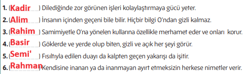 5. Sınıf Din Kültürü Ders Kitabı Sayfa 36-37-38-39-40-41-42 Cevapları