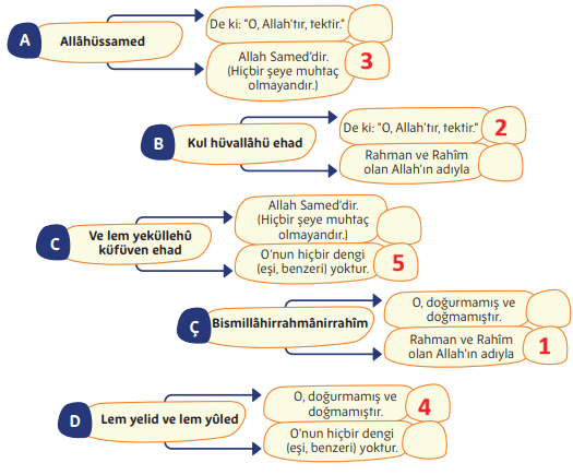 5. Sınıf Din Kültürü Ders Kitabı Sayfa 38 Cevapları 5. Sınıf Din Kültürü Ders Kitabı Sayfa 38 Cevapları