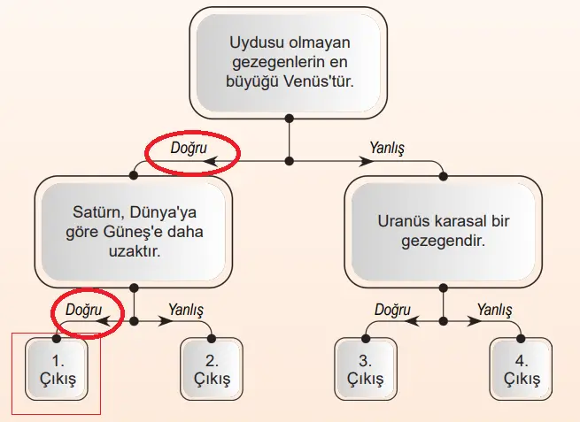 6. Sınıf Fen Bilimleri Ders Kitabı Sayfa 28 Cevapları 6. Sınıf Fen Bilimleri Ders Kitabı Sayfa 28 Cevapları