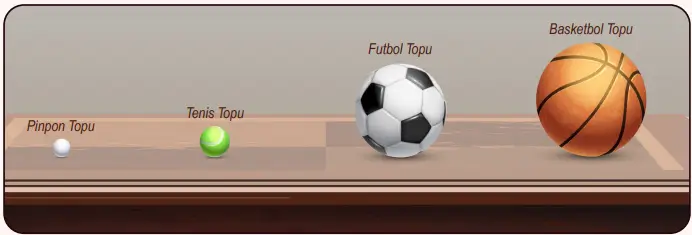 6. Sınıf Fen Bilimleri Ders Kitabı Sayfa 40 Cevapları