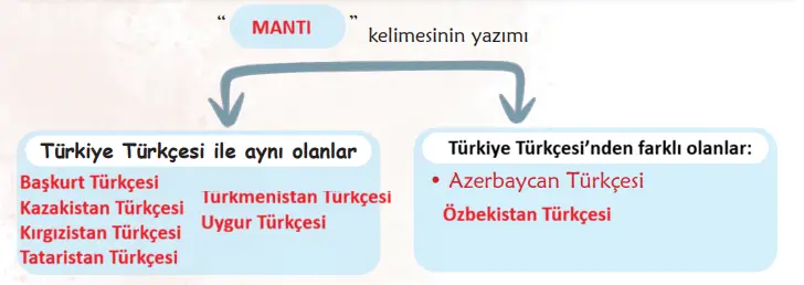 6. Sınıf Türkçe Ders Kitabı Sayfa 20 Cevapları
