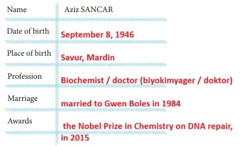 7. Sınıf İngilizce Ders Kitabı Sayfa 35 Cevapları 7. Sınıf İngilizce Ders Kitabı Sayfa 35 Cevapları