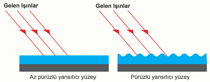 7. Sınıf Fen Bilimleri Ders Kitabı Sayfa 14 Cevapları 7. Sınıf Fen Bilimleri Ders Kitabı Sayfa 14 Cevapları