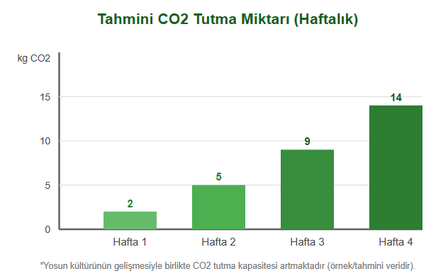 8. Sınıf Fen Bilimleri Ders Kitabı Sayfa 36 Cevapları 8. Sınıf Fen Bilimleri Ders Kitabı Sayfa 36 Cevapları