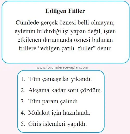 8. Sınıf Türkçe Ders Kitabı Sayfa 124 Cevapları 8. Sınıf Türkçe Ders Kitabı Sayfa 124 Cevapları