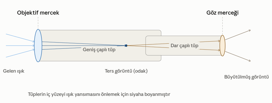 7. Sınıf Fen Bilimleri Ders Kitabı Sayfa 29-30-31-32-33 Cevapları 1. Kitap
