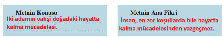 metnin konusunu ve ana fikrini