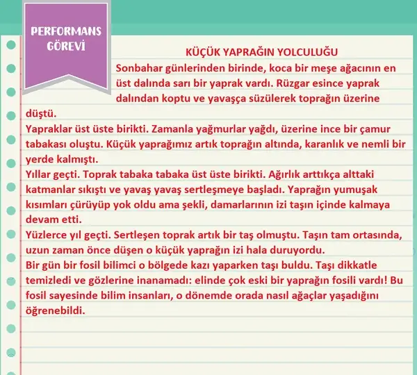 3. Sınıf Fen Bilimleri Ders Kitabı Sayfa 100 Cevapları 1. Kitap 3. Sınıf Fen Bilimleri Ders Kitabı Sayfa 100 Cevapları 1. Kitap