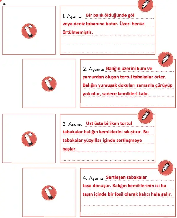 3. Sınıf Fen Bilimleri Ders Kitabı Sayfa 104 Cevapları 1. Kitap 3. Sınıf Fen Bilimleri Ders Kitabı Sayfa 104 Cevapları 1. Kitap