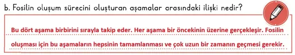3. Sınıf Fen Bilimleri Ders Kitabı Sayfa 104 Cevapları 1. Kitap 3. Sınıf Fen Bilimleri Ders Kitabı Sayfa 104 Cevapları 1. Kitap