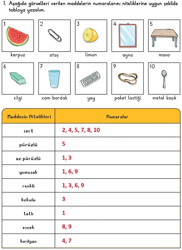 3. Sınıf Fen Bilimleri Ders Kitabı Sayfa 135-136-137-138-139-140 Cevapları 1. Kitap