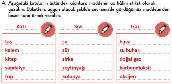 3. Sınıf Fen Bilimleri Ders Kitabı Sayfa 137 Cevapları 1. Kitap 3. Sınıf Fen Bilimleri Ders Kitabı Sayfa 137 Cevapları 1. Kitap