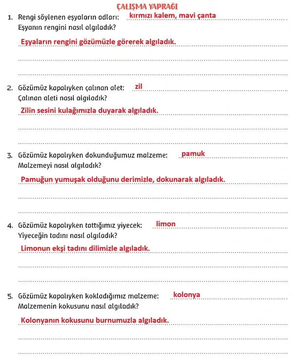 3. Sınıf Fen Bilimleri Ders Kitabı Sayfa 147 Cevapları 1. Kitap 3. Sınıf Fen Bilimleri Ders Kitabı Sayfa 147 Cevapları 1. Kitap