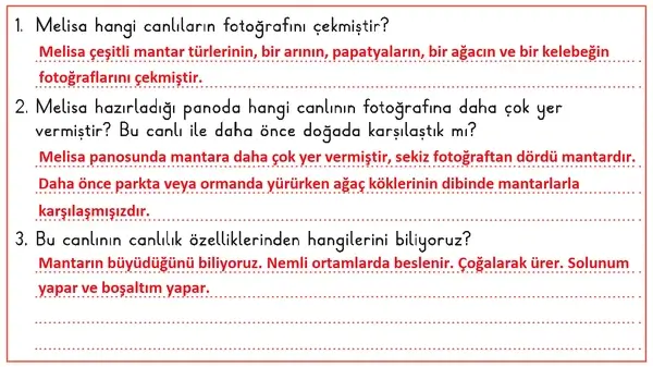 3. Sınıf Fen Bilimleri Ders Kitabı Sayfa 50 Cevapları 1. Kitap 3. Sınıf Fen Bilimleri Ders Kitabı Sayfa 50 Cevapları 1. Kitap