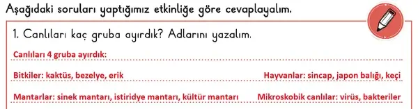 3. Sınıf Fen Bilimleri Ders Kitabı Sayfa 53 Cevapları 1. Kitap 3. Sınıf Fen Bilimleri Ders Kitabı Sayfa 53 Cevapları 1. Kitap