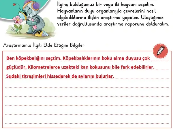3. Sınıf Fen Bilimleri Ders Kitabı Sayfa 60 Cevapları 1. Kitap 3. Sınıf Fen Bilimleri Ders Kitabı Sayfa 60 Cevapları 1. Kitap