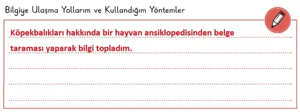 3. Sınıf Fen Bilimleri Ders Kitabı Sayfa 61 Cevapları 1. Kitap 3. Sınıf Fen Bilimleri Ders Kitabı Sayfa 61 Cevapları 1. Kitap