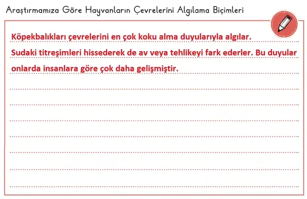 3. Sınıf Fen Bilimleri Ders Kitabı Sayfa 61 Cevapları 1. Kitap 3. Sınıf Fen Bilimleri Ders Kitabı Sayfa 61 Cevapları 1. Kitap