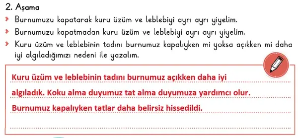 3. Sınıf Fen Bilimleri Ders Kitabı Sayfa 66 Cevapları 1. Kitap