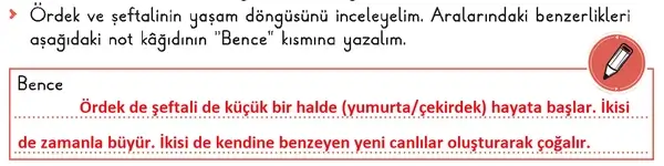 3. Sınıf Fen Bilimleri Ders Kitabı Sayfa 69-70-73 Cevapları 1. Kitap