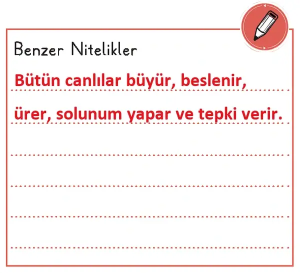 3. Sınıf Fen Bilimleri Ders Kitabı Sayfa 74-75-76-77-78-79-80 Cevapları 1. Kitap