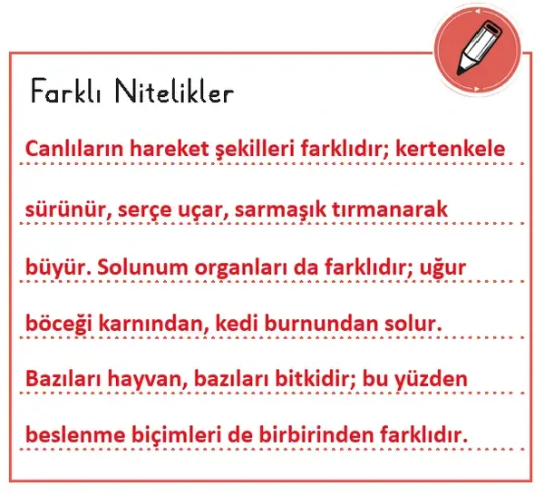 3. Sınıf Fen Bilimleri Ders Kitabı Sayfa 74 Cevapları 1. Kitap 3. Sınıf Fen Bilimleri Ders Kitabı Sayfa 74 Cevapları 1. Kitap