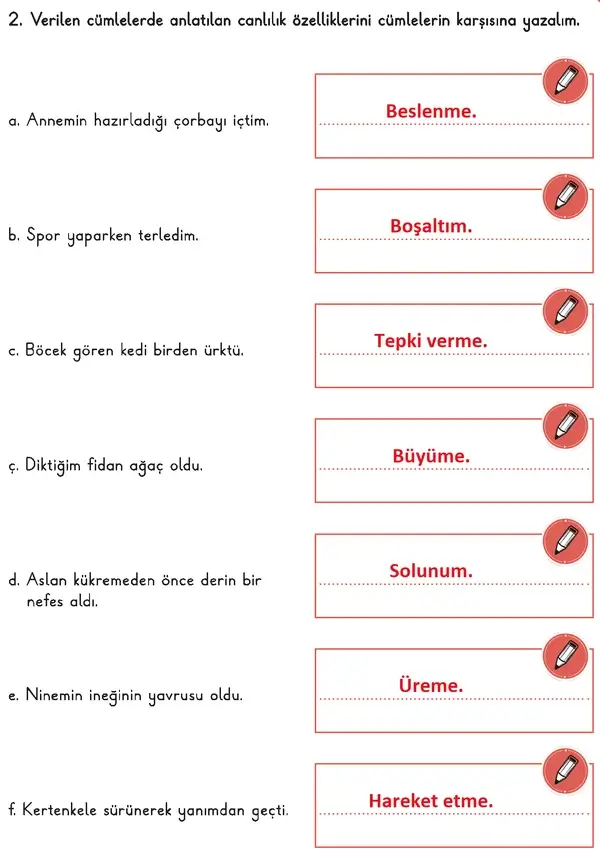 3. Sınıf Fen Bilimleri Ders Kitabı Sayfa 75 Cevapları 1. Kitap 3. Sınıf Fen Bilimleri Ders Kitabı Sayfa 75 Cevapları 1. Kitap
