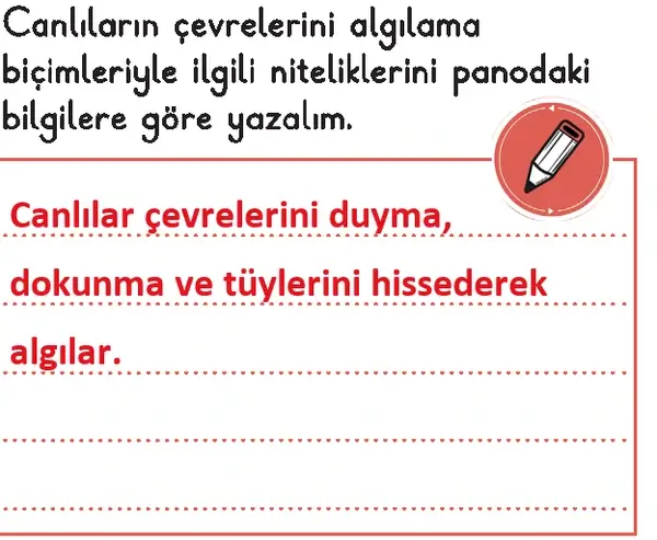 3. Sınıf Fen Bilimleri Ders Kitabı Sayfa 77 Cevapları 1. Kitap 3. Sınıf Fen Bilimleri Ders Kitabı Sayfa 77 Cevapları 1. Kitap