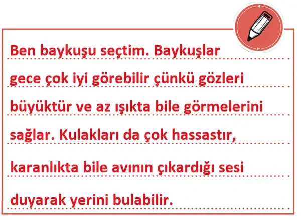 3. Sınıf Fen Bilimleri Ders Kitabı Sayfa 78 Cevapları 1. Kitap 3. Sınıf Fen Bilimleri Ders Kitabı Sayfa 78 Cevapları 1. Kitap
