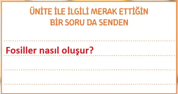 3. Sınıf Fen Bilimleri Ders Kitabı Sayfa 81-82-83 Cevapları 1. Kitap