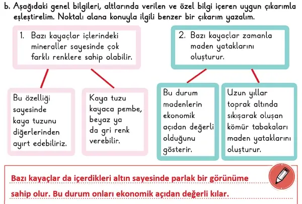 3. Sınıf Fen Bilimleri Ders Kitabı Sayfa 91 Cevapları 1. Kitap 3. Sınıf Fen Bilimleri Ders Kitabı Sayfa 91 Cevapları 1. Kitap