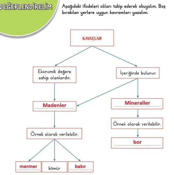 3. Sınıf Fen Bilimleri Ders Kitabı Sayfa 92 Cevapları 1. Kitap 3. Sınıf Fen Bilimleri Ders Kitabı Sayfa 92 Cevapları 1. Kitap
