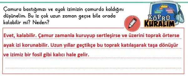 3. Sınıf Fen Bilimleri Ders Kitabı Sayfa 93-94-95-96-99-100 Cevapları 1. Kitap