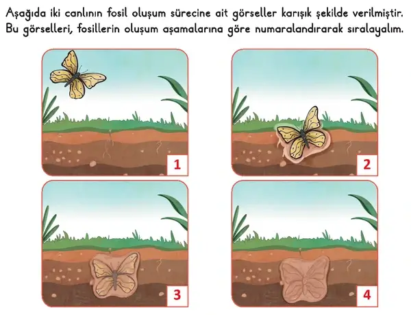 3. Sınıf Fen Bilimleri Ders Kitabı Sayfa 94 Cevapları 1. Kitap 3. Sınıf Fen Bilimleri Ders Kitabı Sayfa 94 Cevapları 1. Kitap