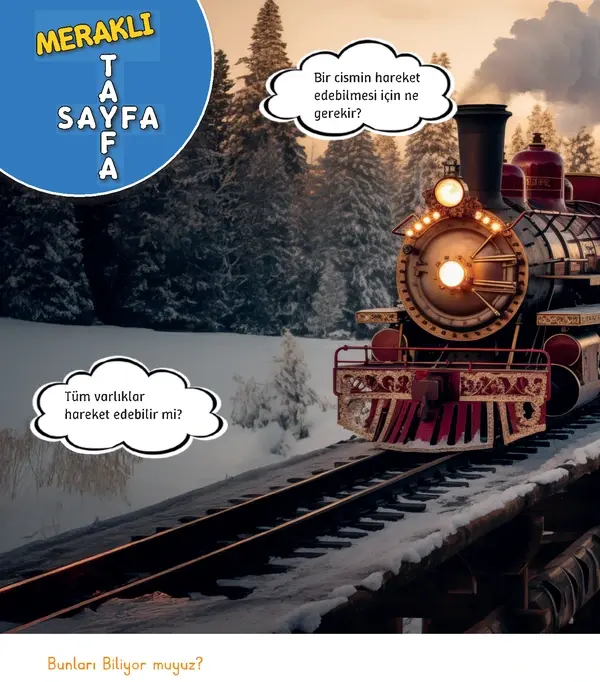 3. Sınıf Fen Bilimleri Ders Kitabı Sayfa 15-16-17-18 Cevapları 2. Kitap