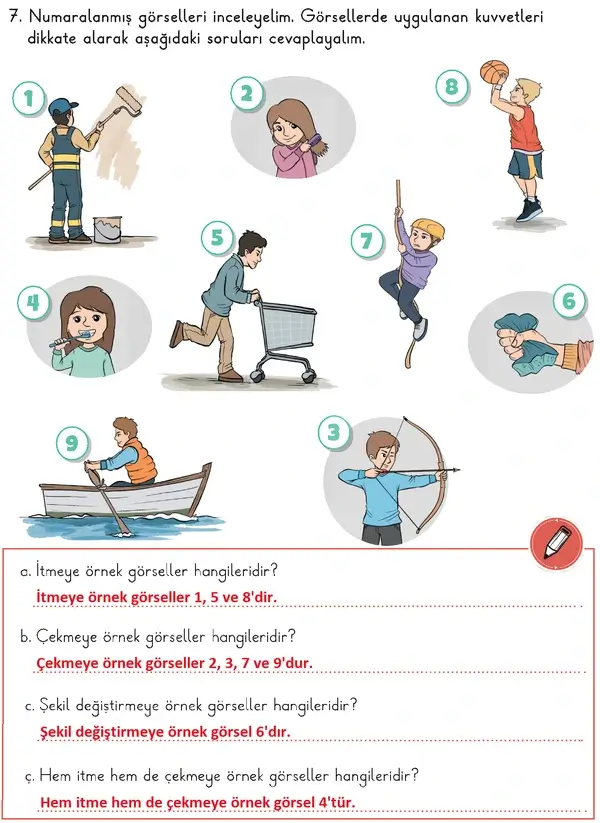 3. Sınıf Fen Bilimleri Ders Kitabı Sayfa 40 Cevapları 2. Kitap 3. Sınıf Fen Bilimleri Ders Kitabı Sayfa 40 Cevapları 2. Kitap