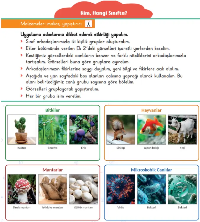 3. Sınıf Fen Bilimleri Ders Kitabı Sayfa 52 Cevapları 3. Sınıf Fen Bilimleri Ders Kitabı Sayfa 52 Cevapları
