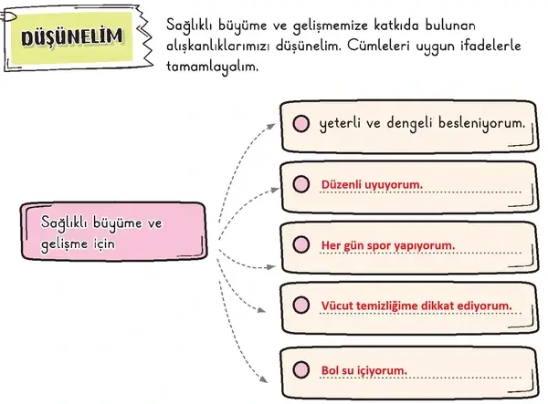 3. Sınıf Hayat Bilgisi Ders Kitabı Sayfa 46-47-48-49 Cevapları 1. Kitap