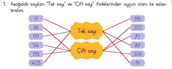 3. Sınıf Matematik Ders Kitabı Sayfa 62 Cevapları 3. Sınıf Matematik Ders Kitabı Sayfa 62 Cevapları