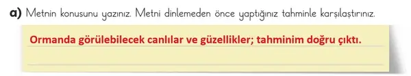 3. Sınıf Türkçe Ders Kitabı Sayfa 104 Cevapları 1. Kitap