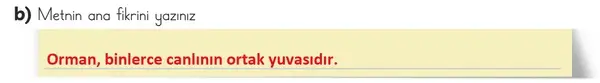 3. Sınıf Türkçe Ders Kitabı Sayfa 104 Cevapları 1. Kitap
