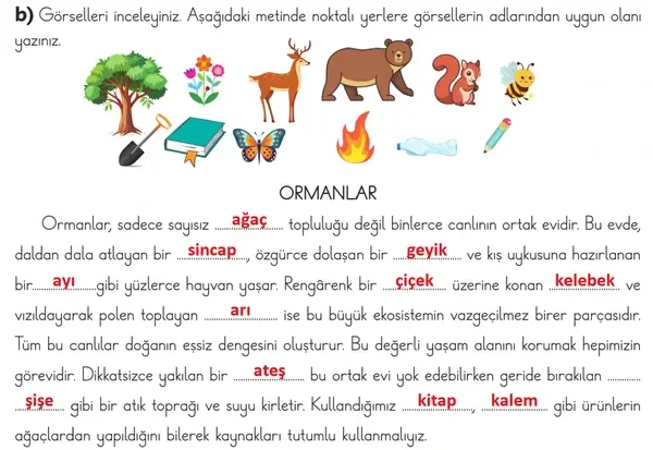 3. Sınıf Türkçe Ders Kitabı Sayfa 104 Cevapları 1. Kitap