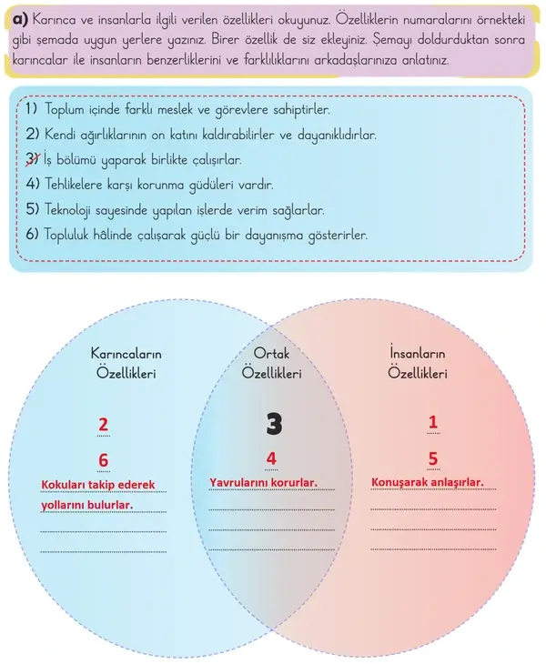 3. Sınıf Türkçe Ders Kitabı Sayfa 112 Cevapları 1. Kitap 3. Sınıf Türkçe Ders Kitabı Sayfa 112 Cevapları 1. Kitap