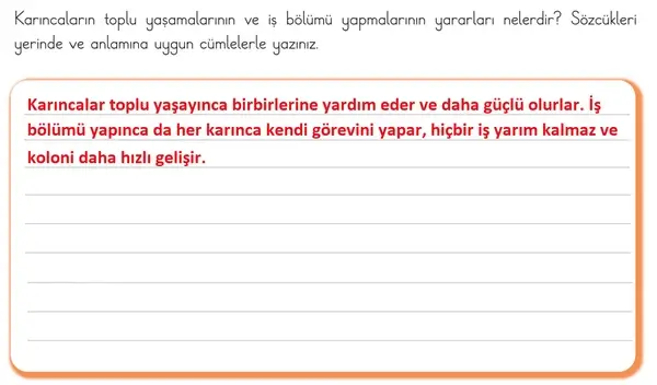 3. Sınıf Türkçe Ders Kitabı Sayfa 113 Cevapları 1. Kitap 3. Sınıf Türkçe Ders Kitabı Sayfa 113 Cevapları 1. Kitap