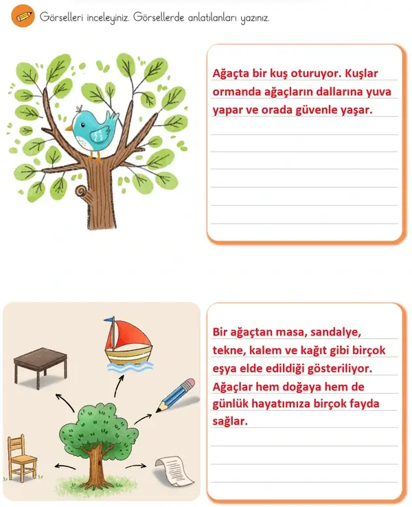 3. Sınıf Türkçe Ders Kitabı Sayfa 115-116-117-118-119-120 Cevapları 1. Kitap