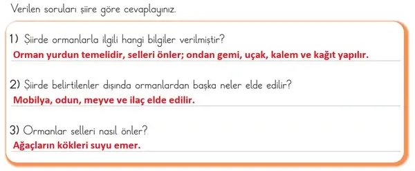 3. Sınıf Türkçe Ders Kitabı Sayfa 117 Cevapları 1. Kitap