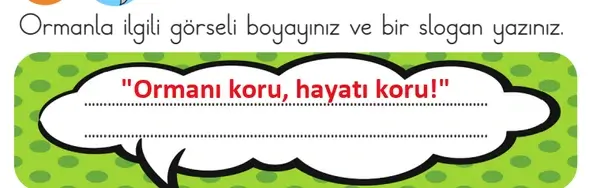 3. Sınıf Türkçe Ders Kitabı Sayfa 117 Cevapları 1. Kitap